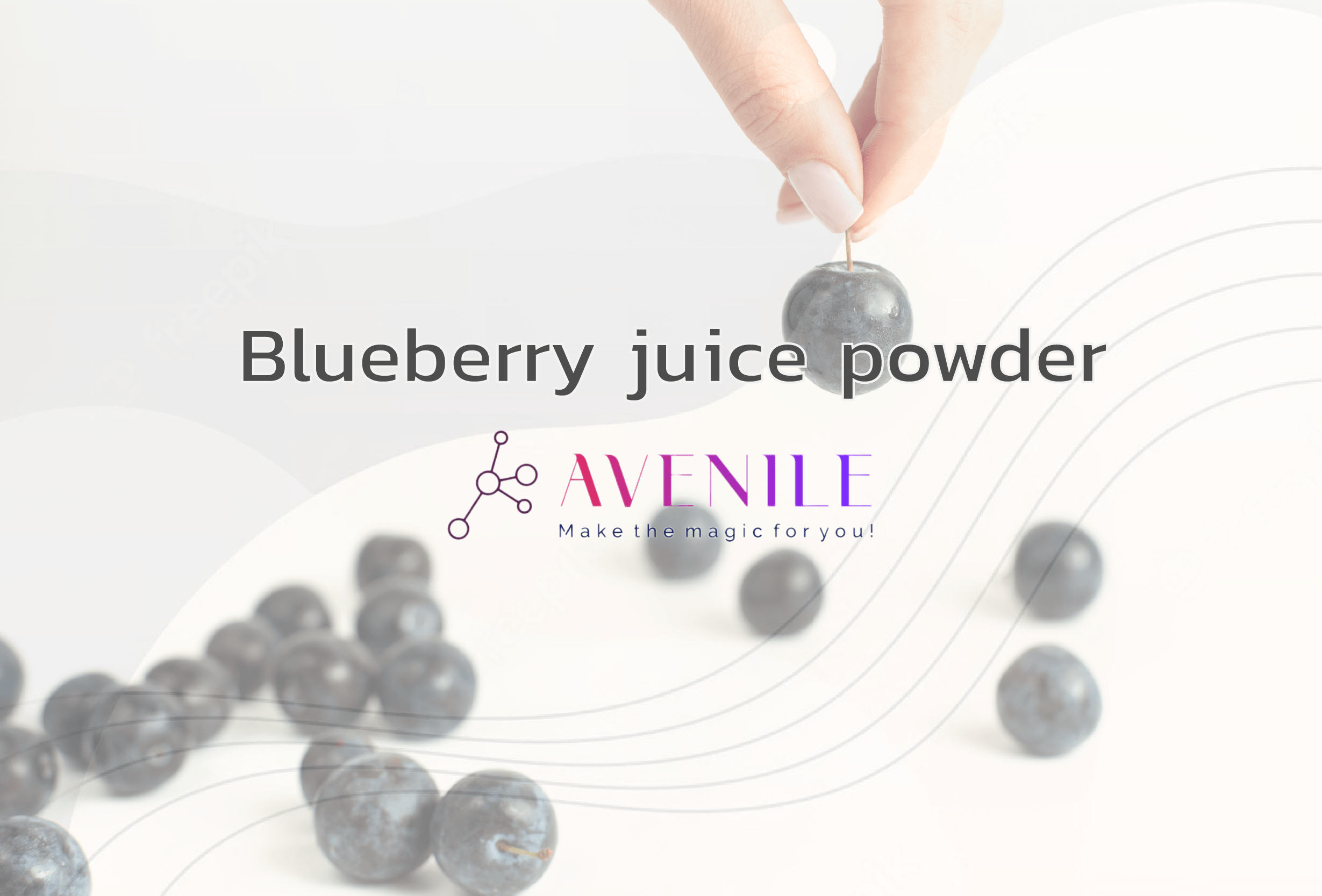 Blueberry juice powder