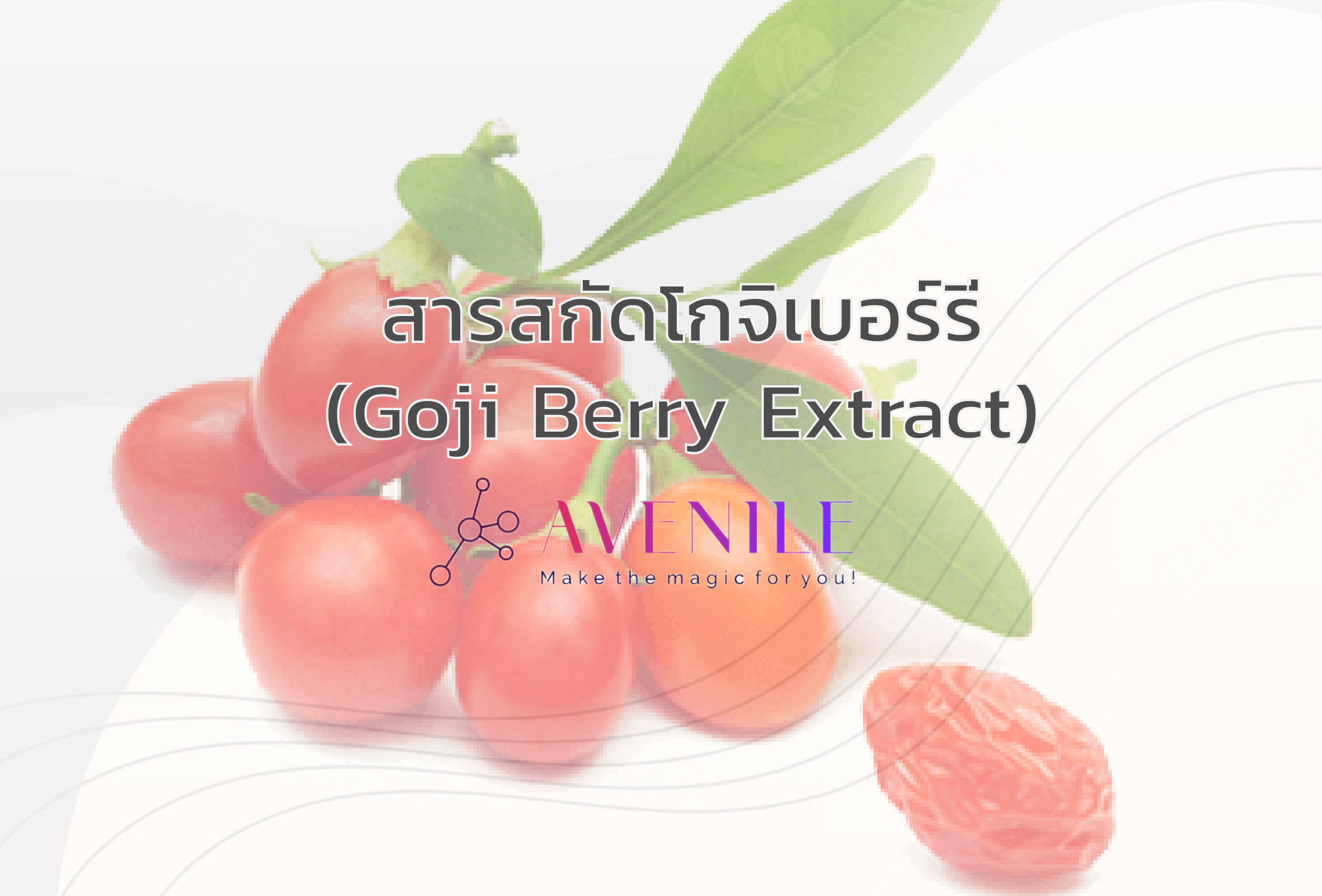 สารสกัดโกจิเบอร์รี่ (Goji Berry Extract)