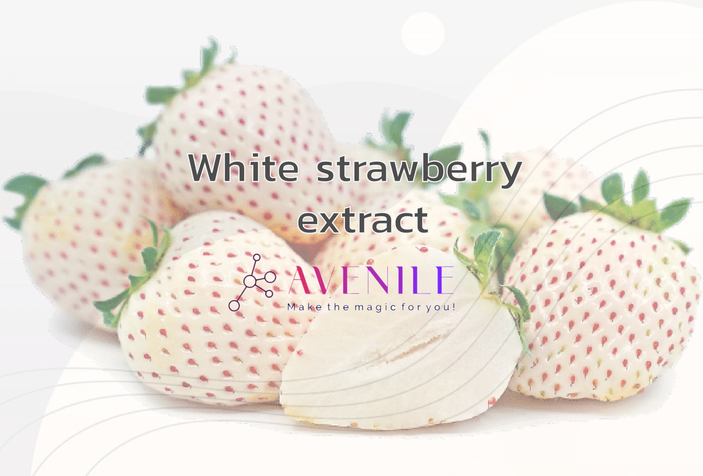 Avenile - White strawberry extract