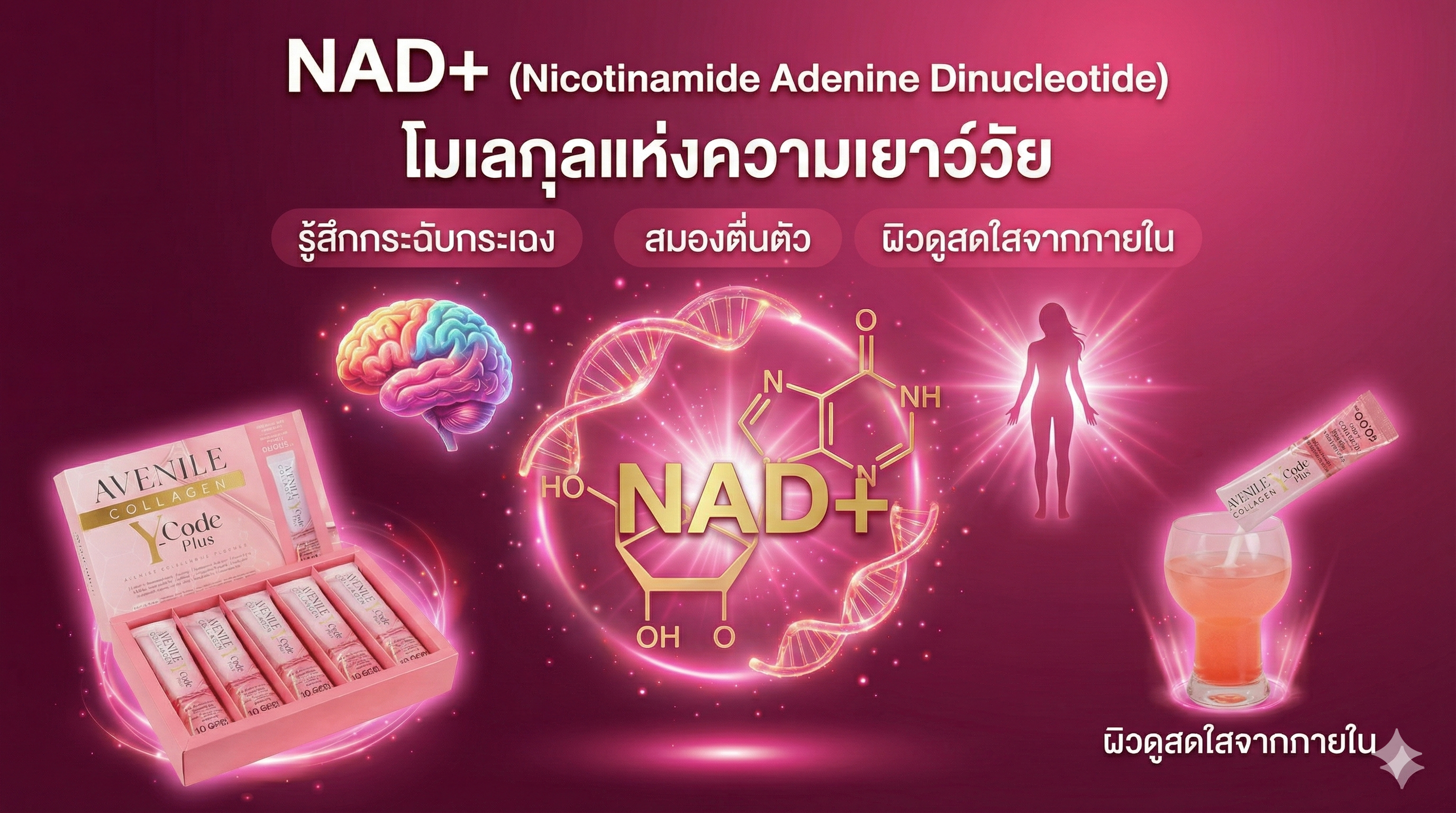 โครงสร้าง DNA และ NAD+